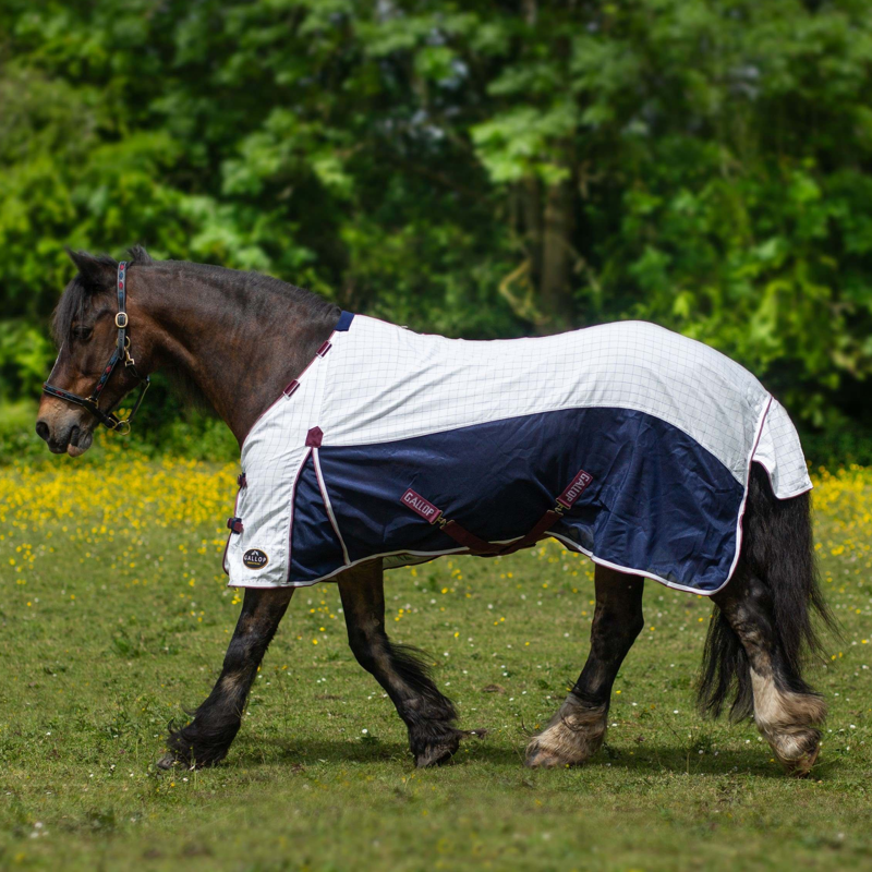 Gallop Air Mesh Detachable Neck Cooler in White and Navy-2
